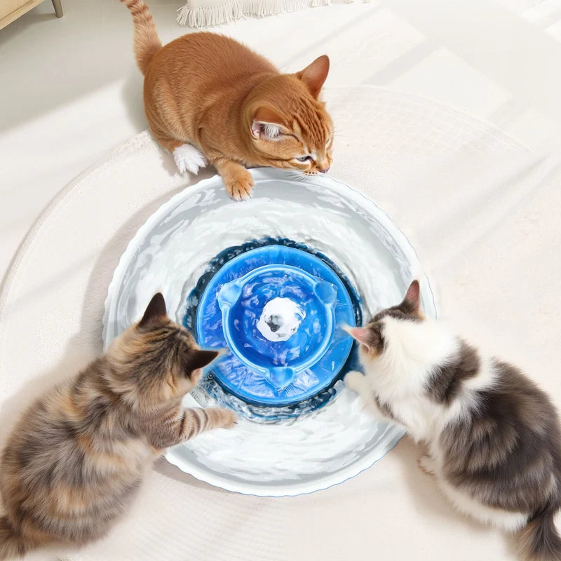 Cat Water Fountain