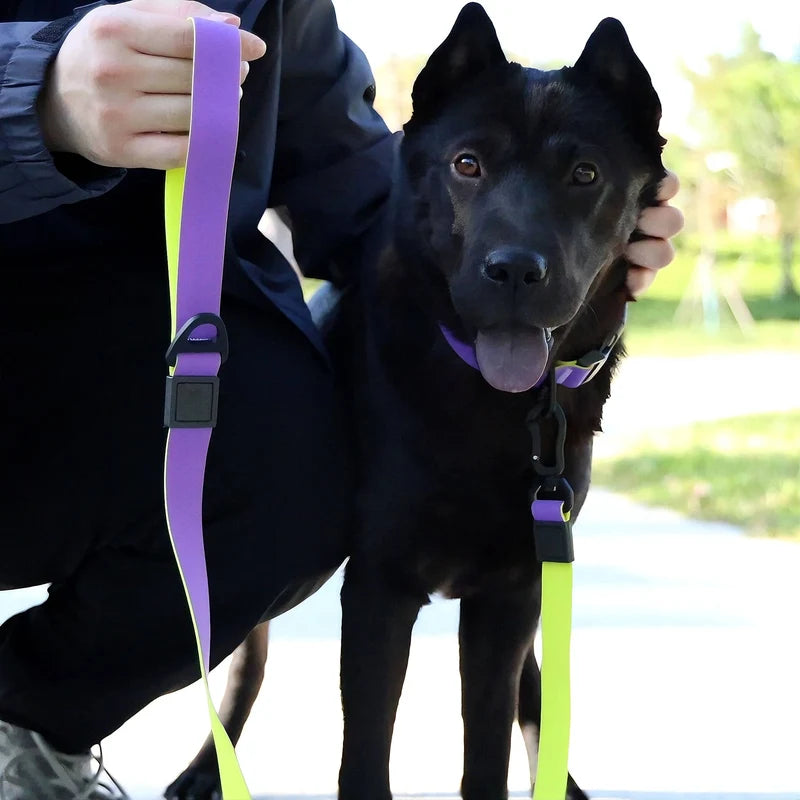 Dog Leash Retractable Leash And Dog Collar