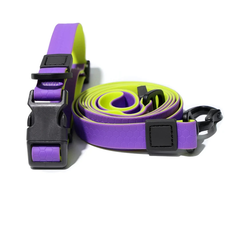 Dog Leash Retractable Leash And Dog Collar